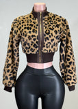 SERENA ANIMAL PRINT CONTRAST RIBBING BOMBER JACKET