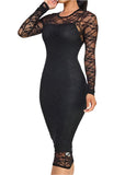 Ruby Long Sleeve Lace Mesh Black Dress