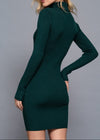 SERENITY DARK GREEN TURTLENECK MINI DRESS