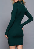 SERENITY DARK GREEN TURTLENECK MINI DRESS