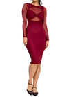 Paulette Long Sleeve Mesh Dress Burgundy