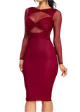 Paulette Long Sleeve Mesh Dress Burgundy