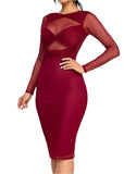 Paulette Long Sleeve Mesh Dress Burgundy