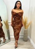 Bella Animal Print Dress