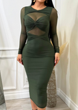 Paulette Double Lined Long Sleeve Stretchy Mesh Dress Green