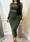 Paulette Double Lined Long Sleeve Stretchy Mesh Dress Green