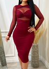 Paulette Double Lined Long Sleeve Stretchy Mesh Dress Burgundy