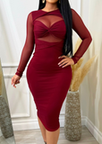 Paulette Double Lined Long Sleeve Stretchy Mesh Dress Burgundy