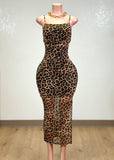 HEAVEN ANIMAL PRINT BODYCON MIDI DRESS
