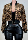 JUPITER ANIMAL PRINT CONTRAST RIBBING BOMBER JACKET