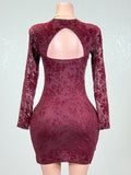 DELANEY BURGUNDY FLOWER DETAIL MESH BODYCON MINI DRESS