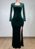 DHALI GREEN MESH LONG SLEEVES VELVET BODYCON MAXI DRESS
