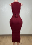 HAVEN BURGUNDY FRONT BUTTONED MIDI DRESS