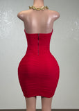 PEYTON RED MESH RUCHED BODYCON MINI DRESS