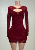 ADA BURGUNDY FLOWER DETAIL MESH MINI DRESS