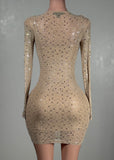 KARTER IVORY MESH RHINESTONE BODYCON MINI DRESS