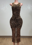 DAKAR ANIMAL PRINT BODYCON OPEN BACK MIDI DRESS